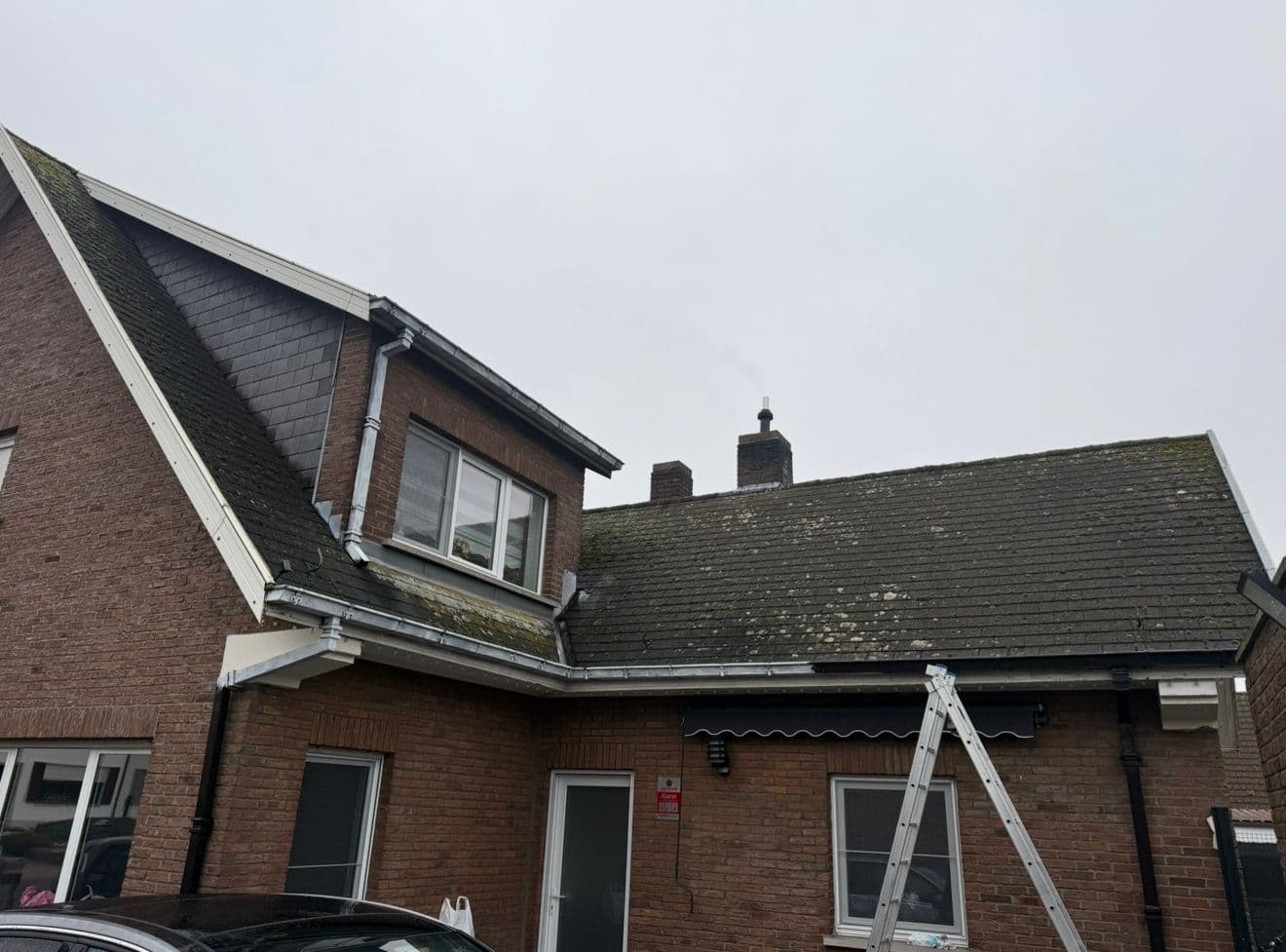 Toiture avec mousse et lichens avant nettoyage